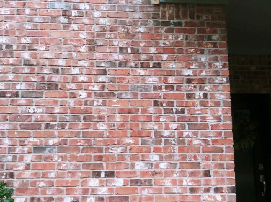 hernandez-concrete-services-austin